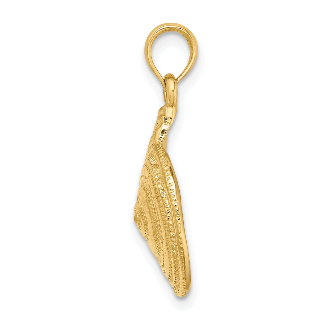 14K Yelloe Gold Solid Textured Polished Finish Troca Open Back Shell Charm Pendant