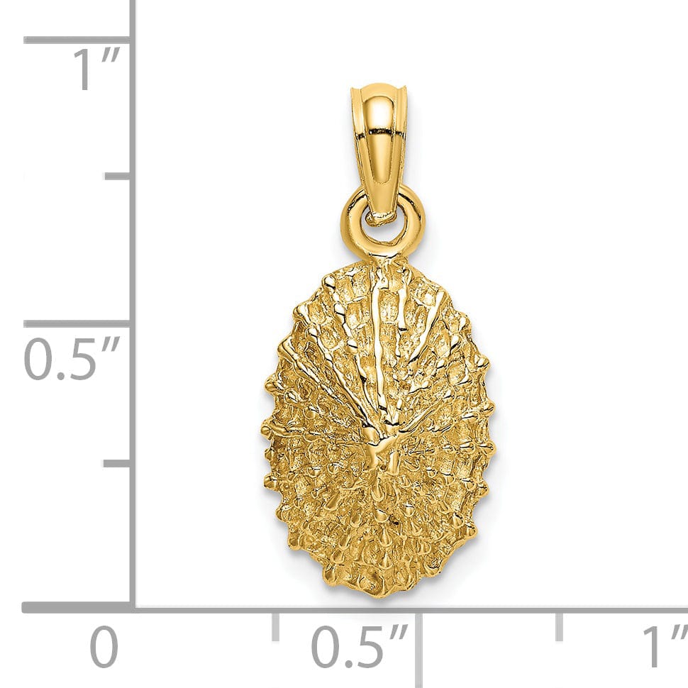 14K Yellow Gold Polished Textured Finish Limpet Shell Charm Pendant