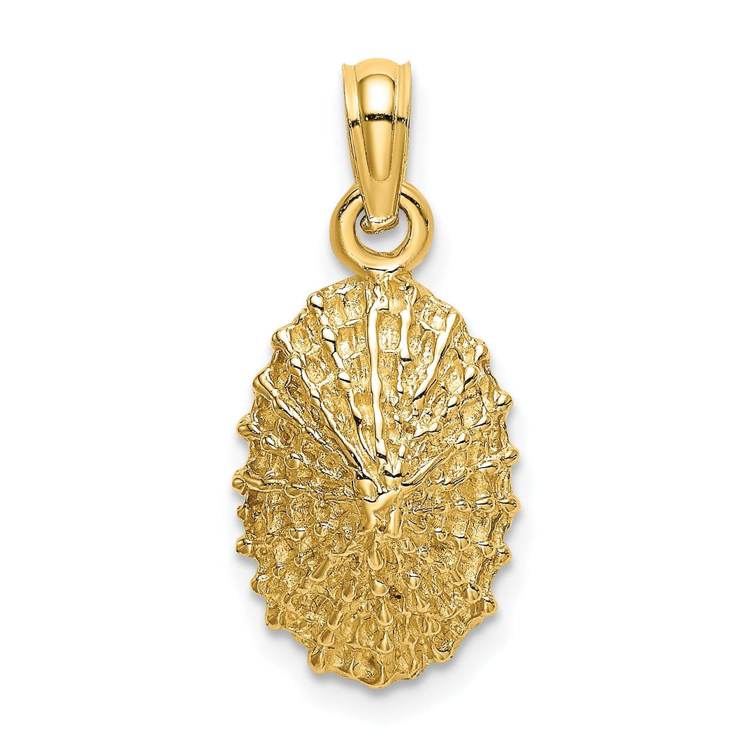 14K Yellow Gold Polished Textured Finish Limpet Shell Charm Pendant