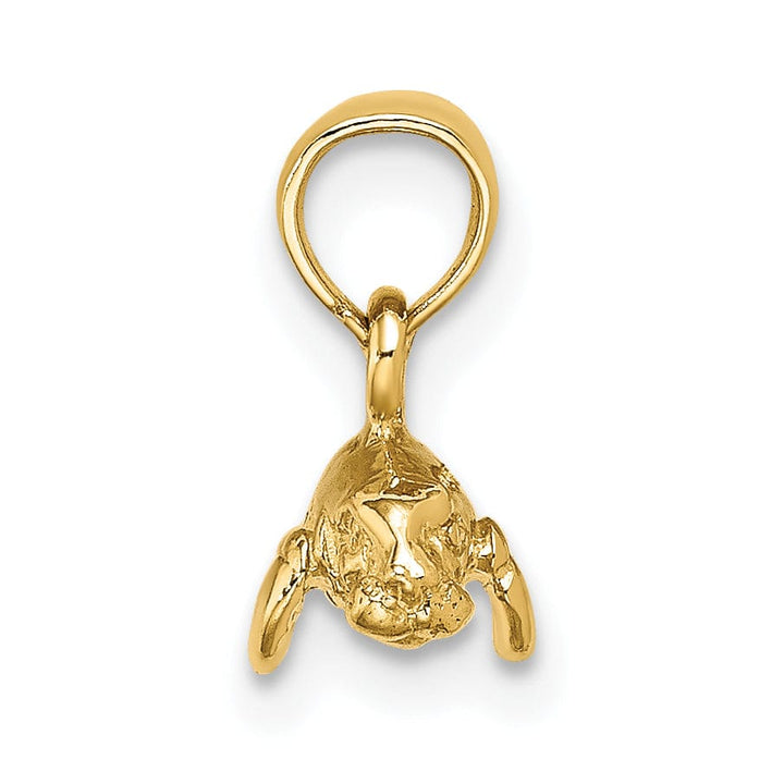 14K Yellow Gold 3-Dimensional Polished Finish Small Size Swimming Manatee Design Charm Pendant