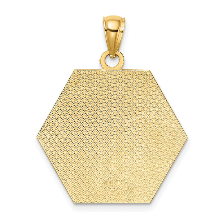 14K Yellow Gold Textured Back Polished Finish Caduceus Medical Disc Hexagon Shape Charm Pendant