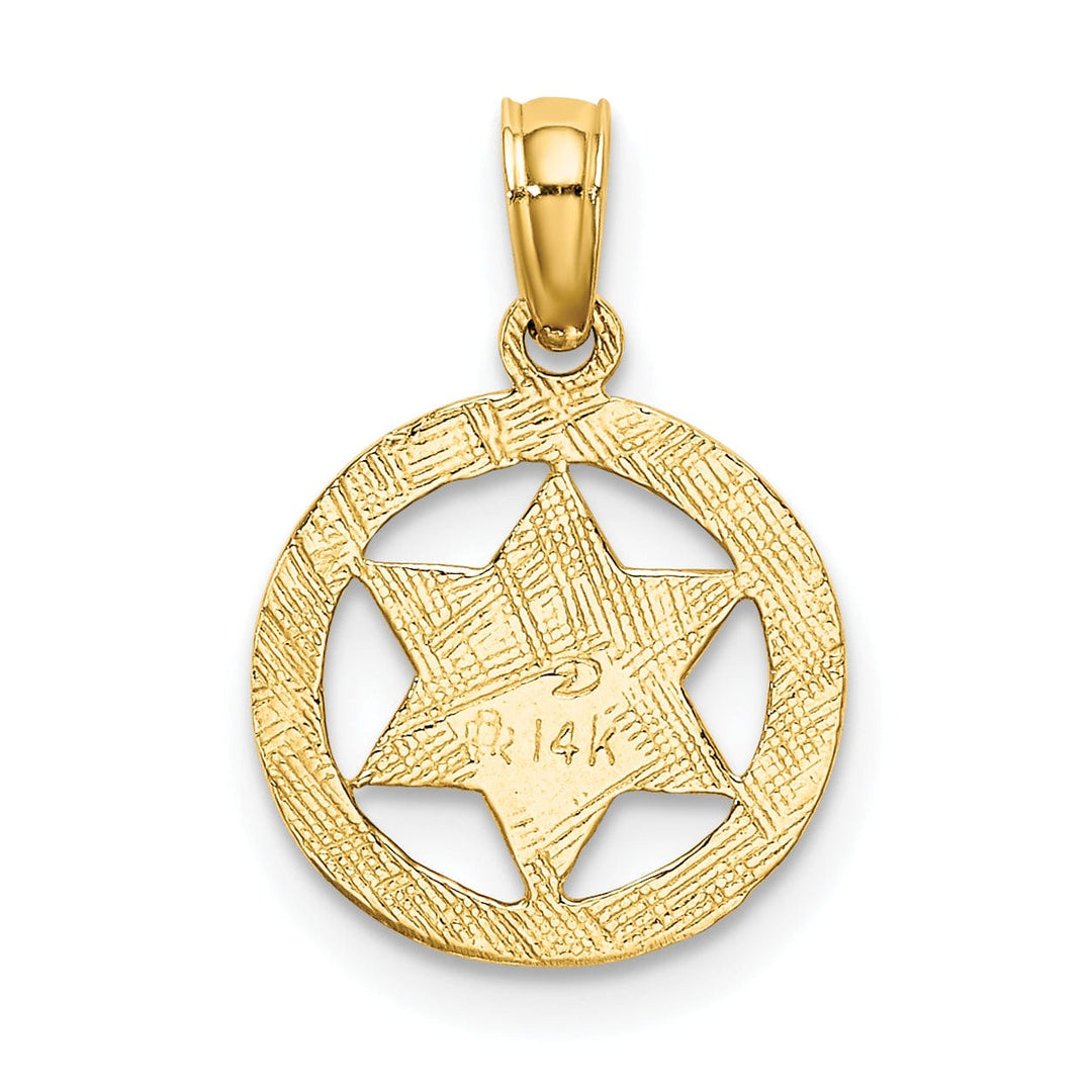 14K Yellow Gold Polish Texture Finish Star Of David In Circle Pendant