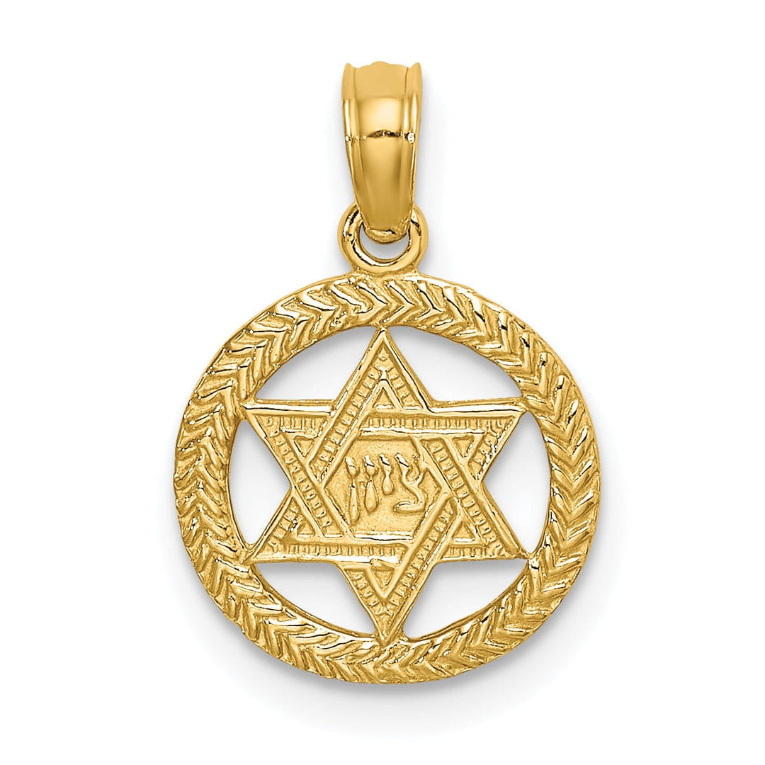 14K Yellow Gold Polish Texture Finish Star Of David In Circle Pendant