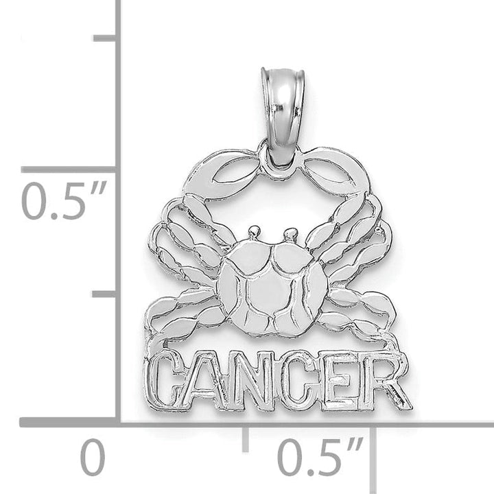 14K White Gold Polished Textured Finish Zodiac CANCER Charm Pendant