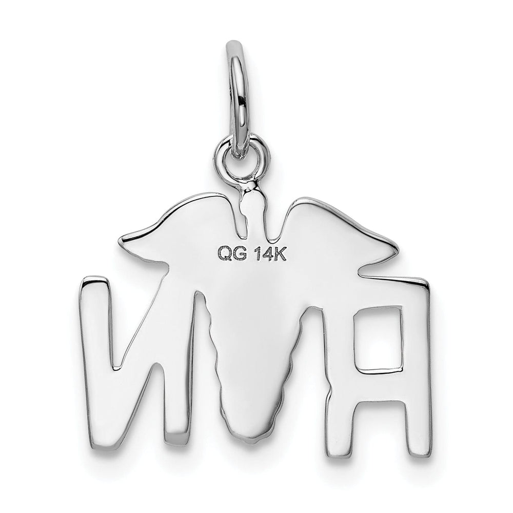 Solid 14k White Gold Polished R.N Charm Pendant