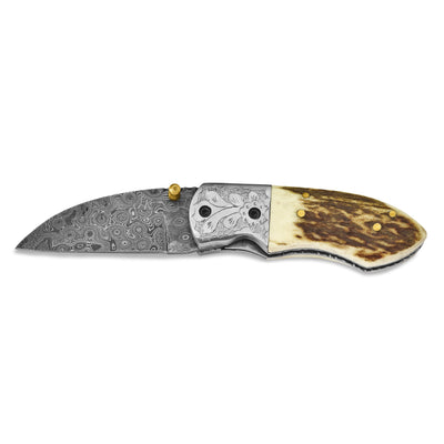 Damascus Steel Stag Horn Handle Knife