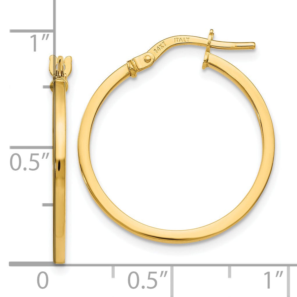 14k Yellow Gold Hoop Earrings