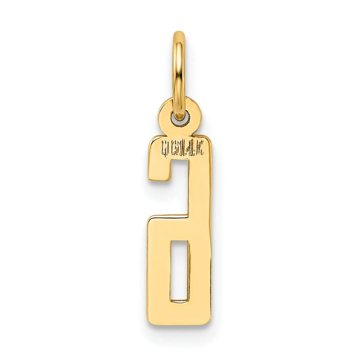 14K Yellow Gold Polished Finish Small Size Elongated Shape Number 6 Charm Pendant