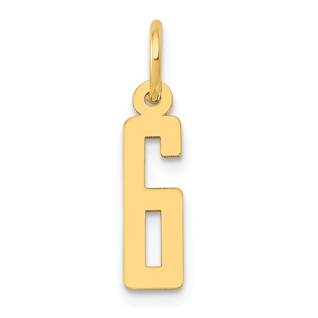 14K Yellow Gold Polished Finish Small Size Elongated Shape Number 6 Charm Pendant