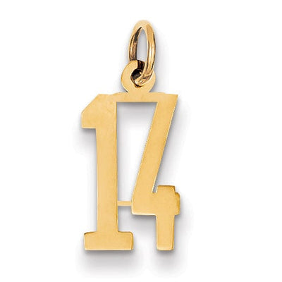 14K Yellow Gold Polished Finish Small Size Elongated Shape Number 14 Charm Pendant