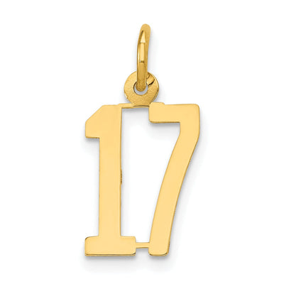 14K Yellow Gold Polished Small Size Elongated Shape Number 17 Pendant