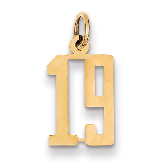 14K Yellow Gold Polished Finish Small Size Elongated Shape Number 19 Charm Pendant