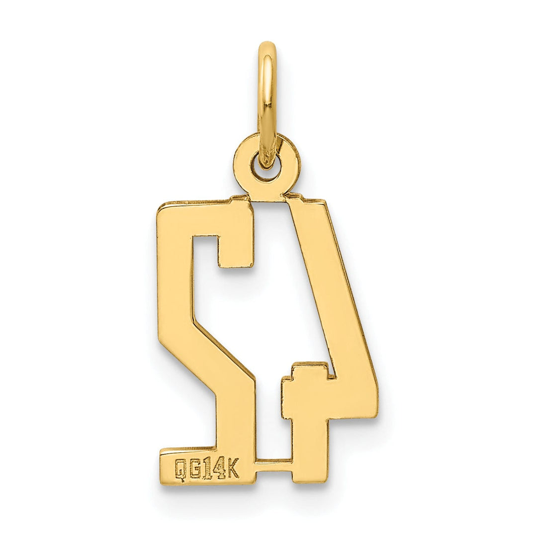 14K Yellow Gold Polished Finish Small Size Elongated Shape Number 42 Charm Pendant