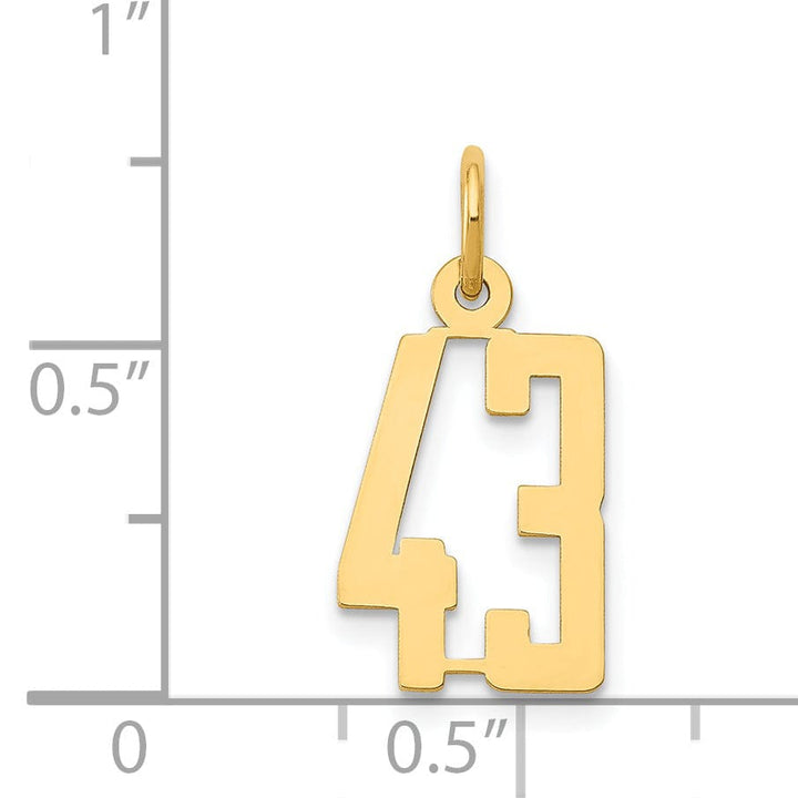 14K Yellow Gold Polished Finish Small Size Elongated Shape Number 43 Charm Pendant