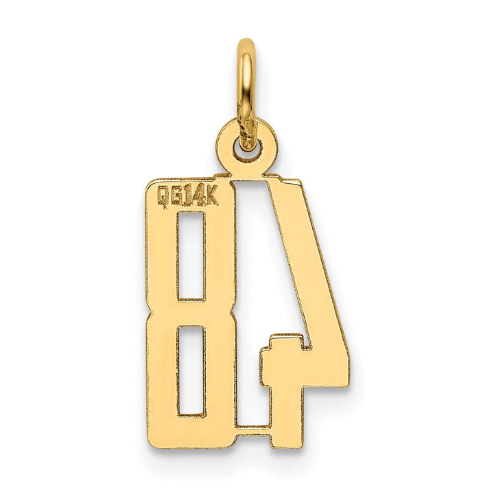 14K Yellow Gold Polished Finish Small Size Elongated Shape Number 48 Charm Pendant