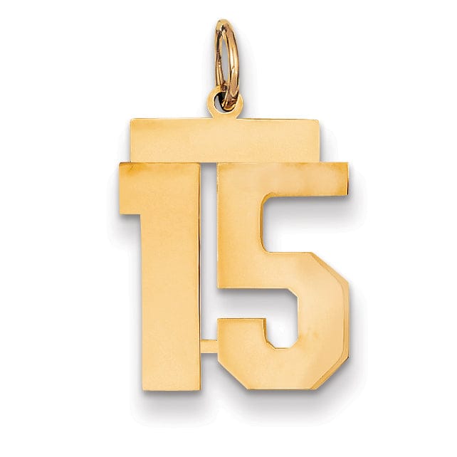 14K Yellow Gold Polished Finish Medium Size Number 15 Charm Pendant