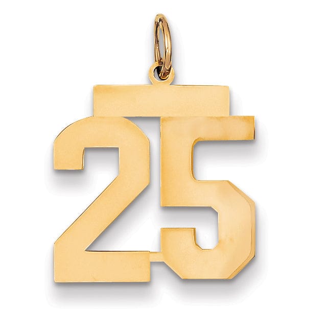 14K Yellow Gold Polished Finish Medium Size Number 25 Charm Pendant