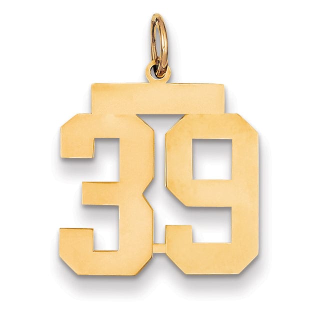 14K Yellow Gold Polished Finish Medium Size Number 39 Charm Pendant