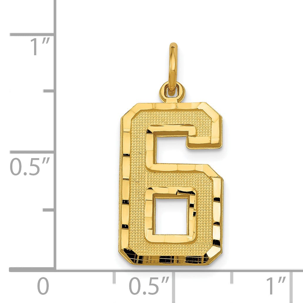 14k Yellow Gold Diamond Cut Texture Finish Large Size Number 6 Charm Pendant