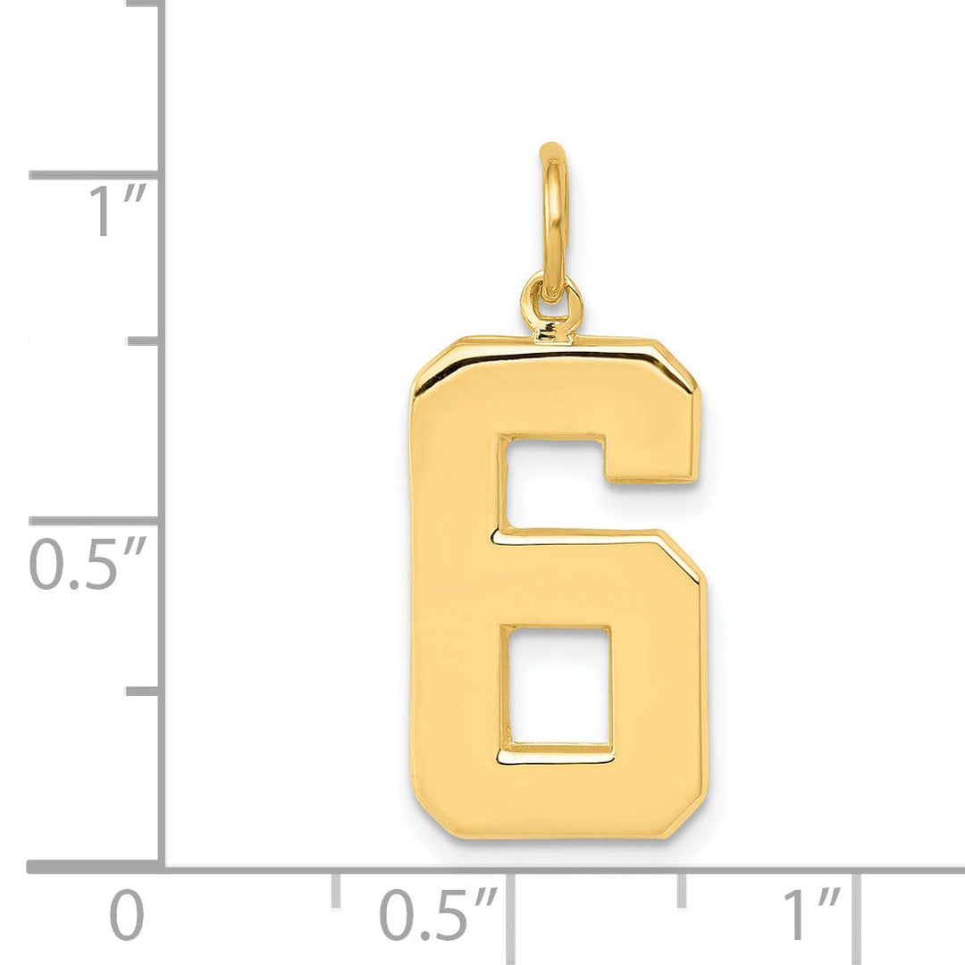 14k Yellow Gold Polished Finish Large Size Number 6 Charm Pendant