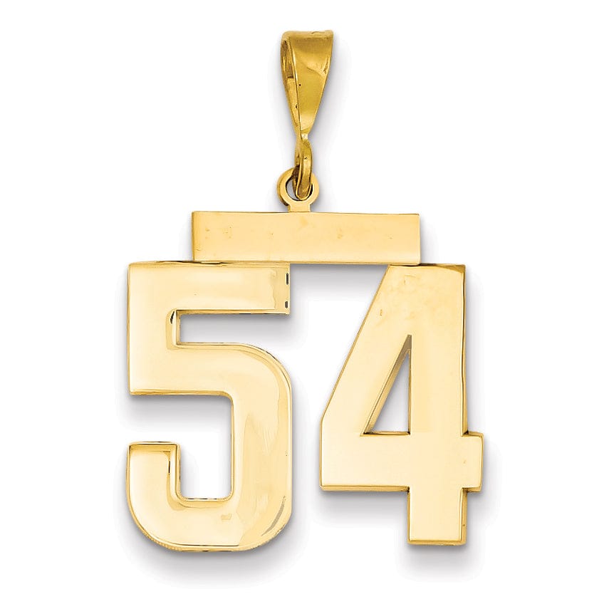 14k Yellow Gold Polished Finish Large Size Number 54 Charm Pendant
