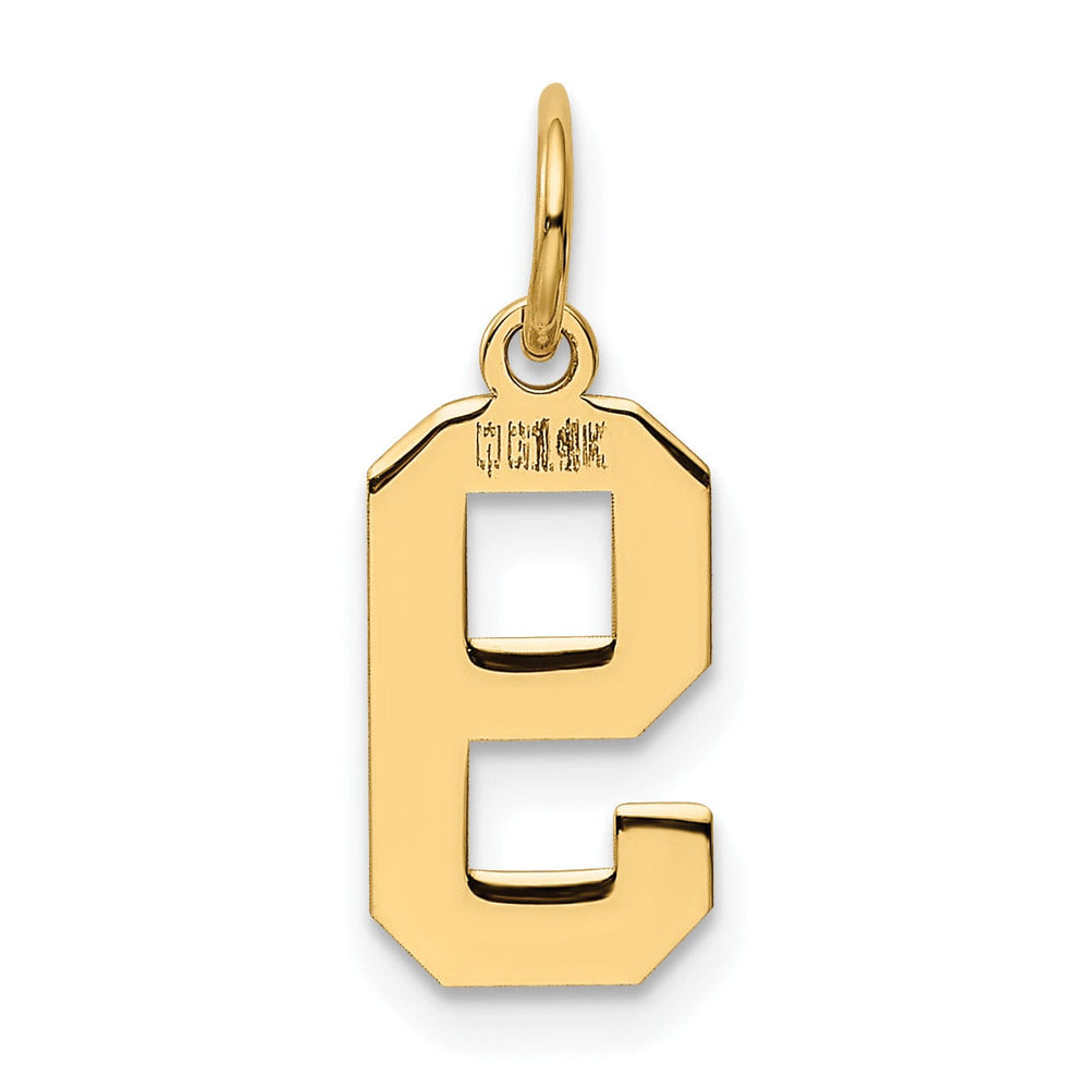 14k Yellow Gold Polished Finish Small Size Number 9 Charm Pendant
