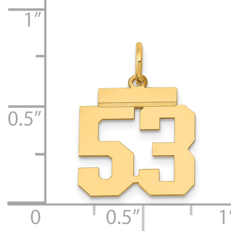 14k Yellow Gold Polished Finish Small Size Number 53 Charm Pendant