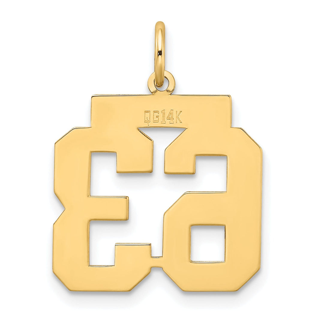14k Yellow Gold Satin Brush Finish Medium Size Number 63 Charm Pendant