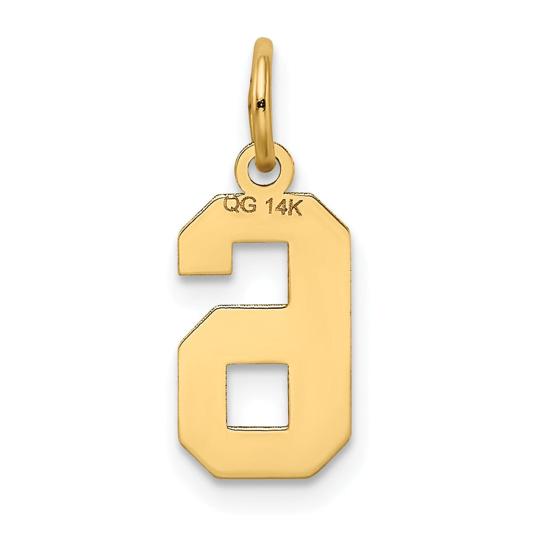 14k Yellow Gold Satin Brush Finish Small Size Number 6 Charm Pendant
