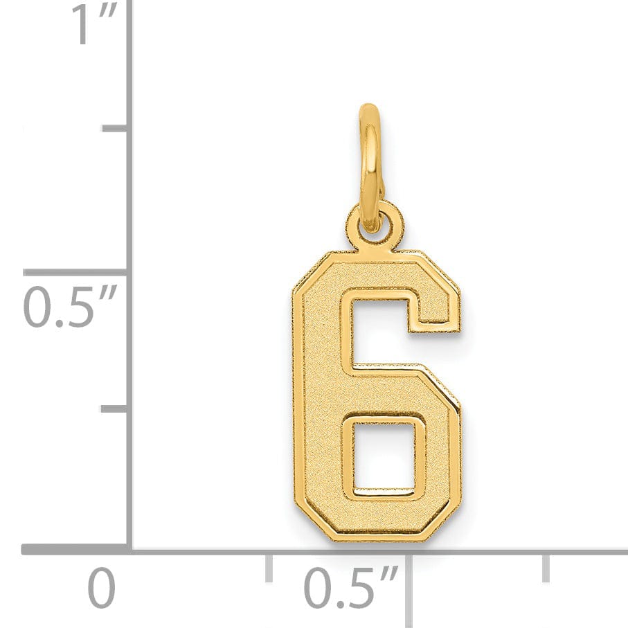 14k Yellow Gold Satin Brush Finish Small Size Number 6 Charm Pendant