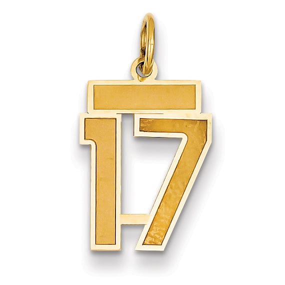 14k Yellow Gold Satin Brush Finish Small Size Number 17 Charm Pendant