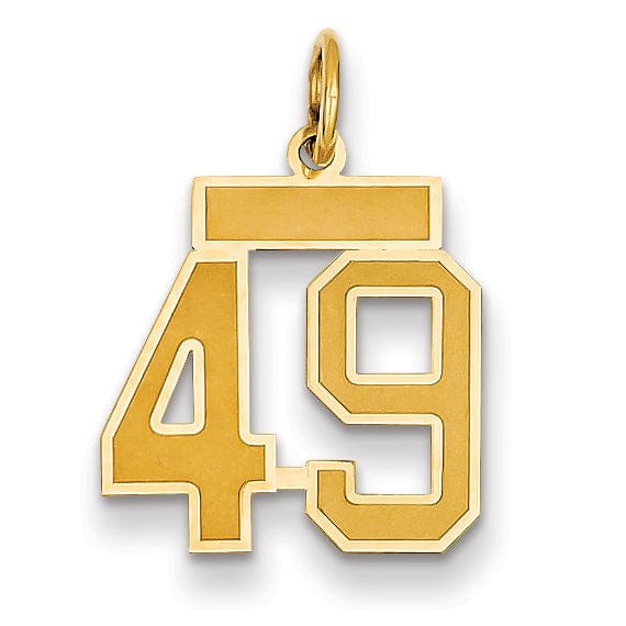 14k Yellow Gold Satin Brush Finish Small Size Number 49 Charm Pendant