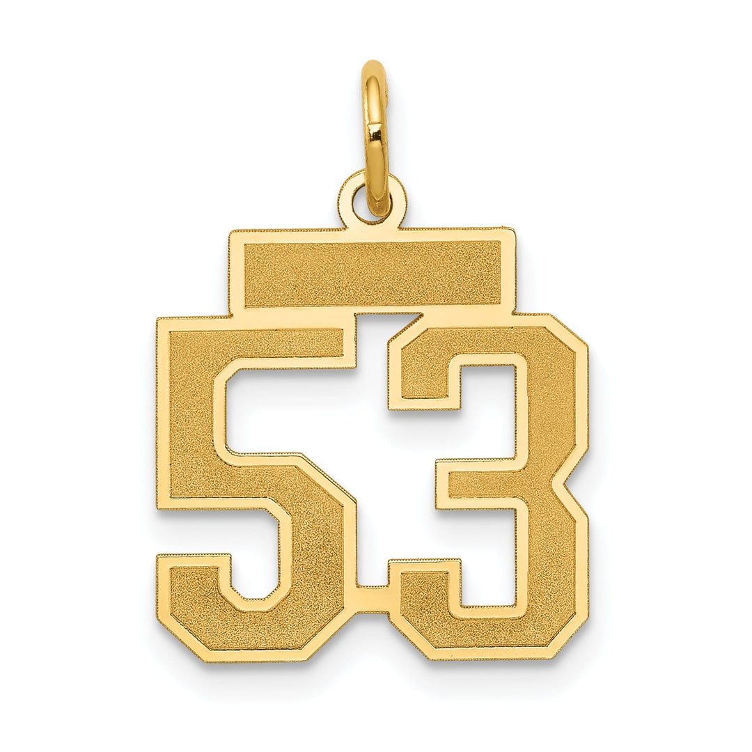14k Yellow Gold Satin Brush Finish Small Size Number 53 Charm Pendant