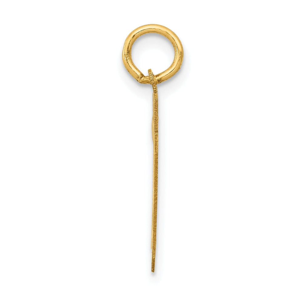 14k Yellow Gold Satin Brush Finish Small Size Number 79 Charm Pendant