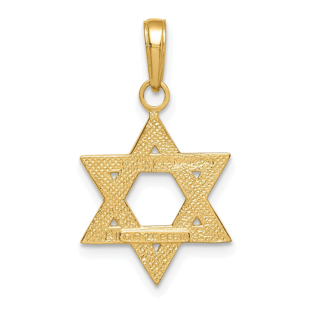 14K Yellow Gold Polished Satin Texture Finish Star Of David Pendant