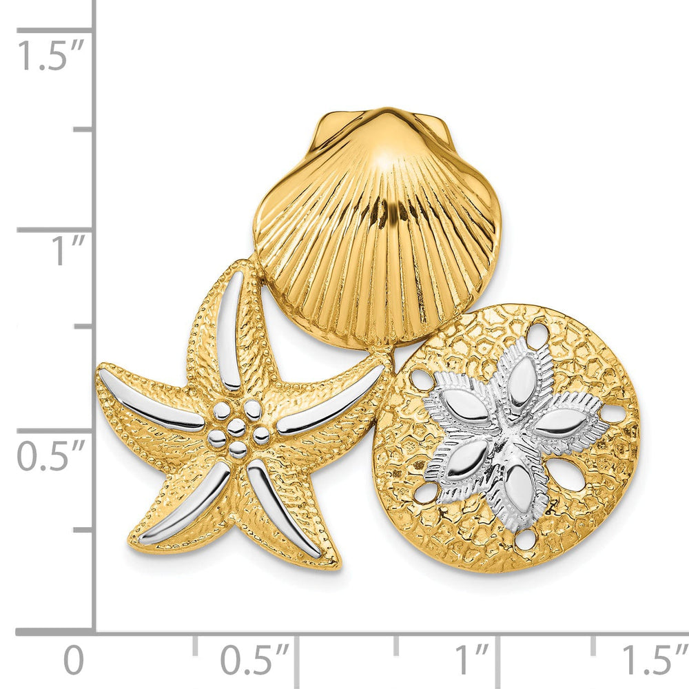 14k Yellow Gold White Rhodium Solid Polished Textured Finish Scallop, Starfish and Sand Dollar Design Slide Pendant Fits up to 8mm Fancy Omega Chain