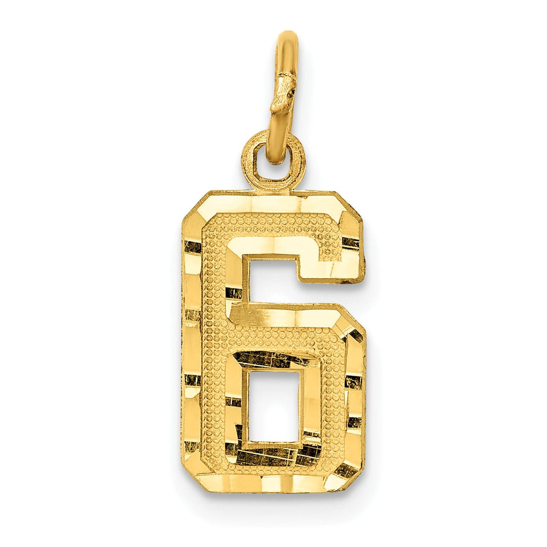 14k Yellow Gold Polished Diamond Cut Finish Small Size Number 6 Charm Pendant