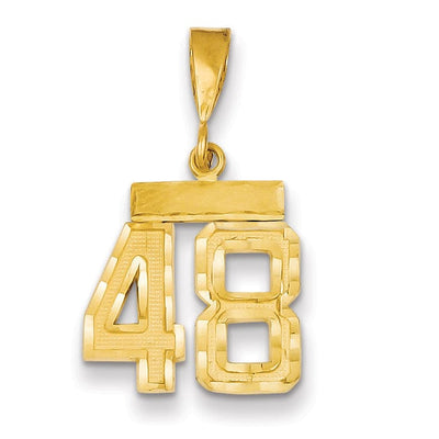 14k Yellow Gold Polished Diamond Cut Finish Small Size Number 48 Charm Pendant
