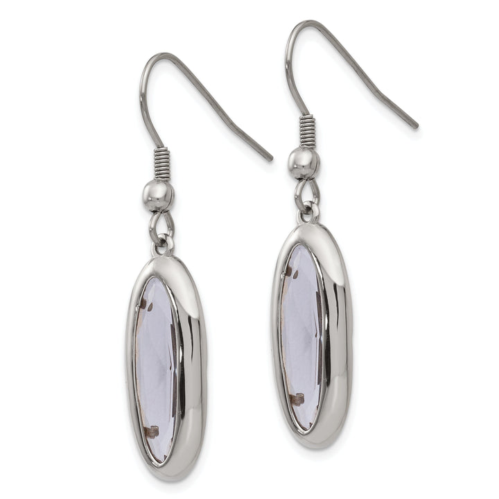 Stainless Steel Glass Oval Hook Dangle Earrings