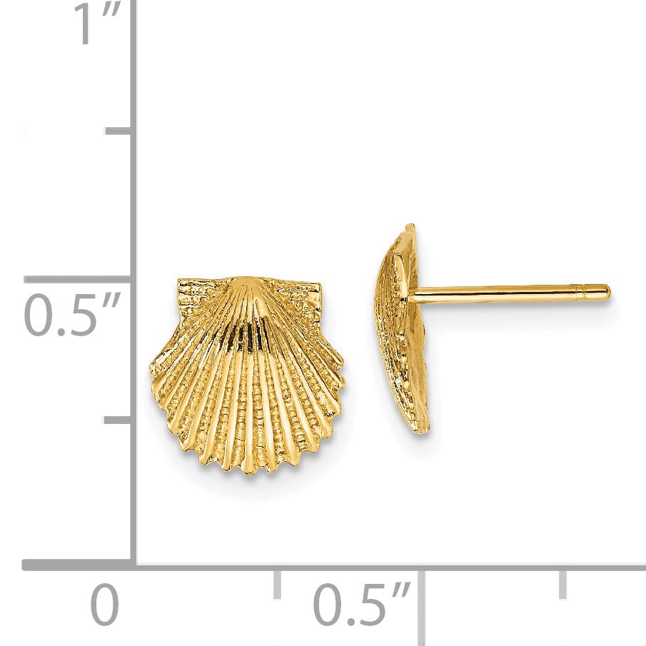 14k Yellow Gold Scallop Shell Post Earrings