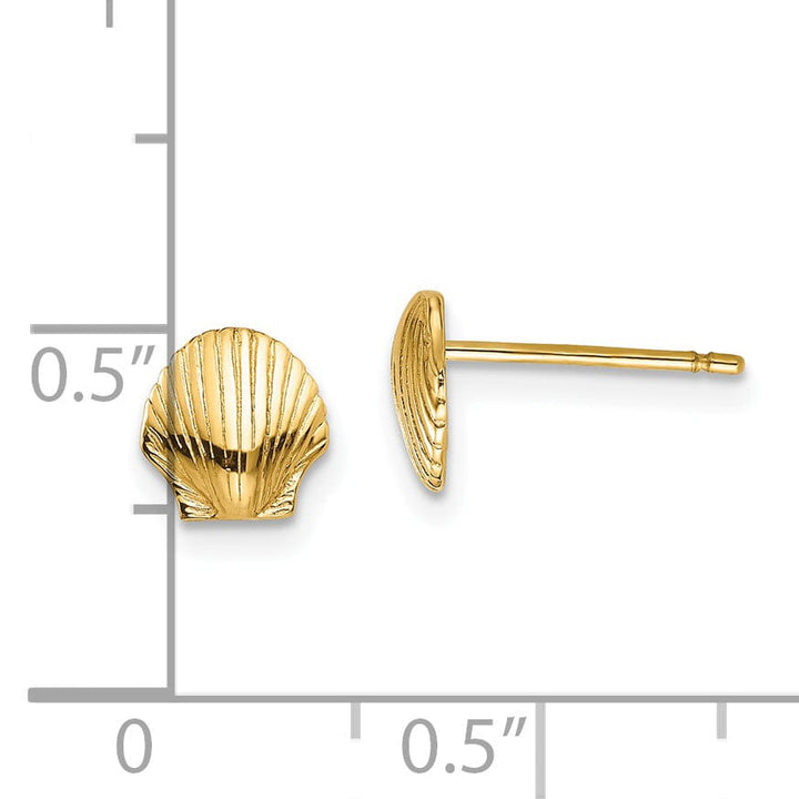 14k Yellow Gold Mini Scallop Shell Post Earrings