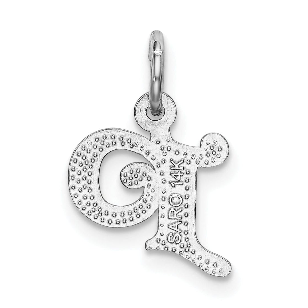 14k White Gold Small Script Design Letter P Initial Charm Pendant