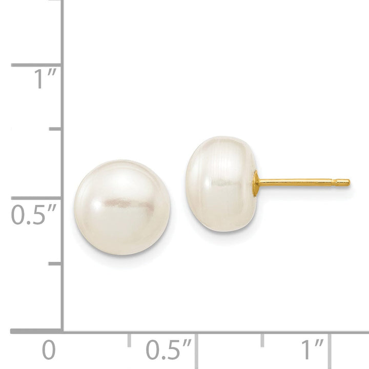 14k Yellow Gold White Button Pearl Earrings