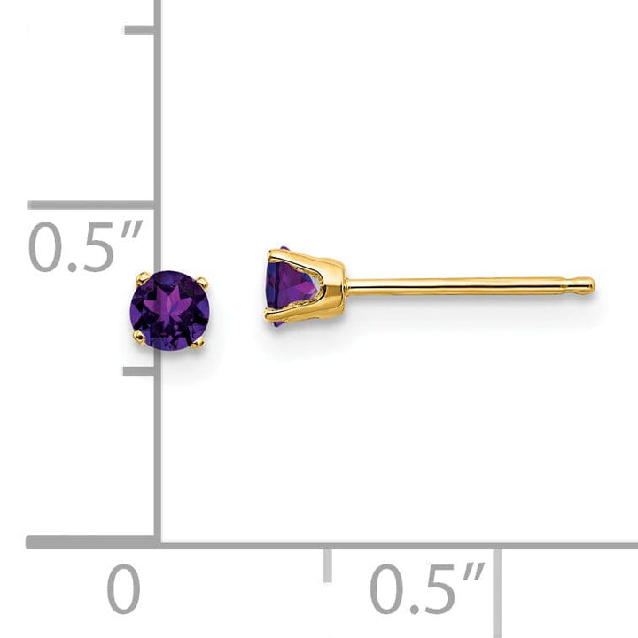 14k Yellow Gold Amethyst Birthstone Earrings