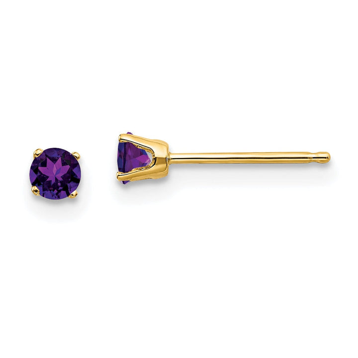 14k Yellow Gold Amethyst Birthstone Earrings