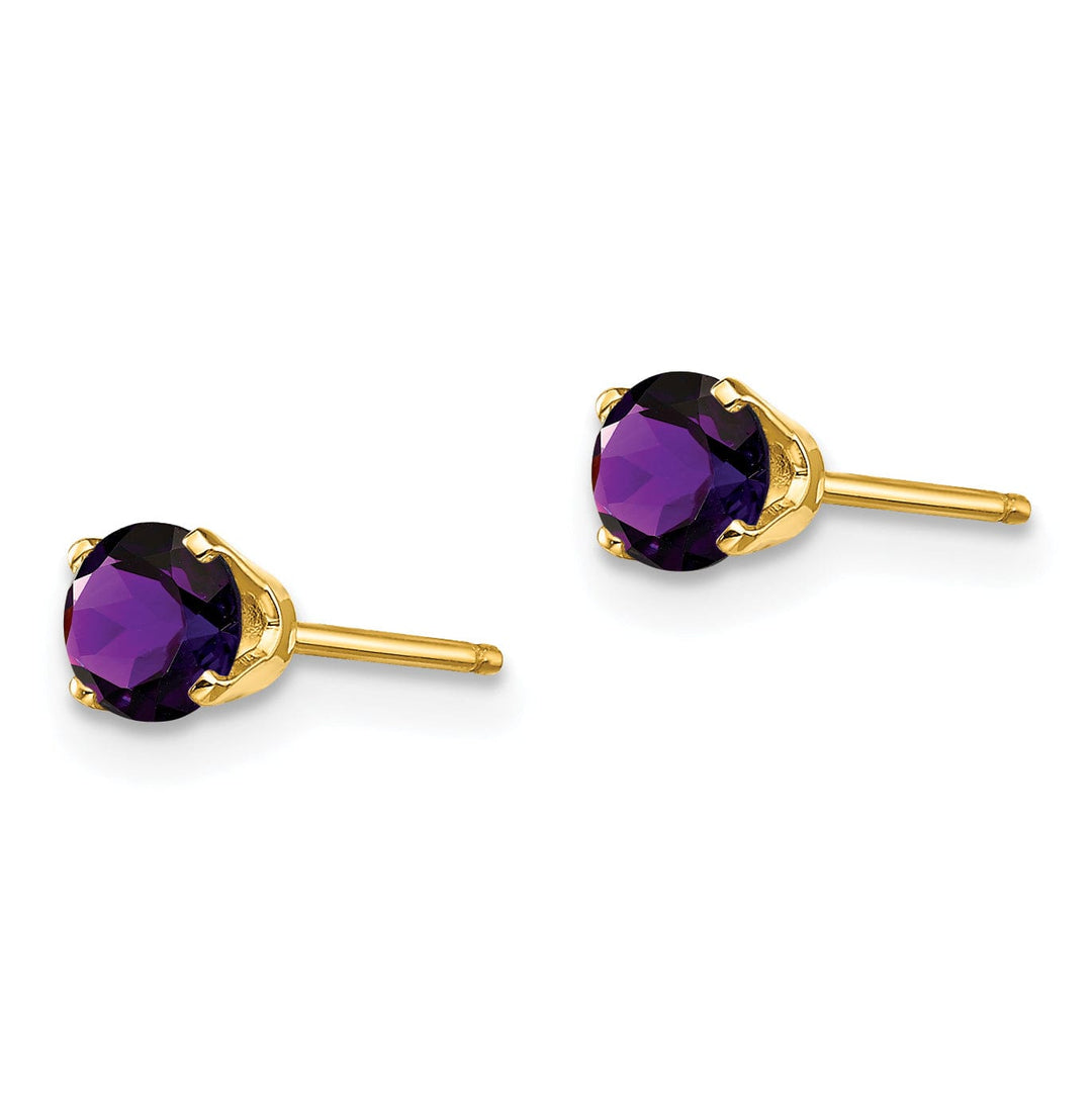 14k Yellow Gold Amethyst Birthstone Earrings