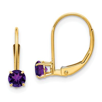 14k Yellow Gold Amethyst Birthstone Earrings at $ 106.03 only from Jewelryshopping.com