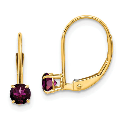 14k Yellow Gold Polished Rhodolite Garnet Earrings at $ 109.51 only from Jewelryshopping.com