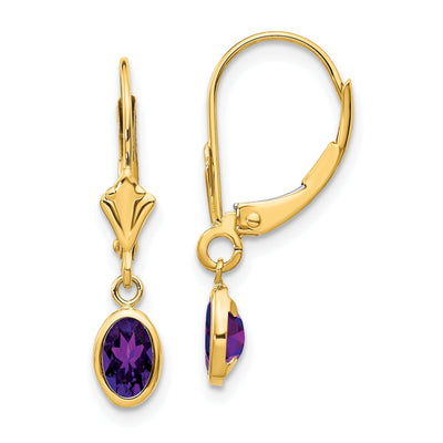 14k Yellow Gold Amethyst Birthstone Earrings at $ 131.89 only from Jewelryshopping.com