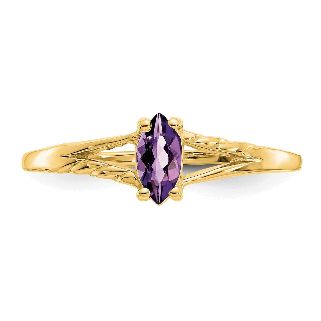 14k Yellow Gold Polished Amethyst Birthstone Ring